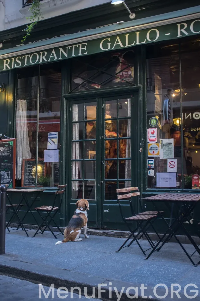 2026 Restoran Fiyat Rehberi: Popüler Zincirler ve Yerel Lezzet Durakları