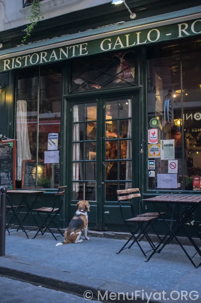 Bölgesel Lezzet Haritası