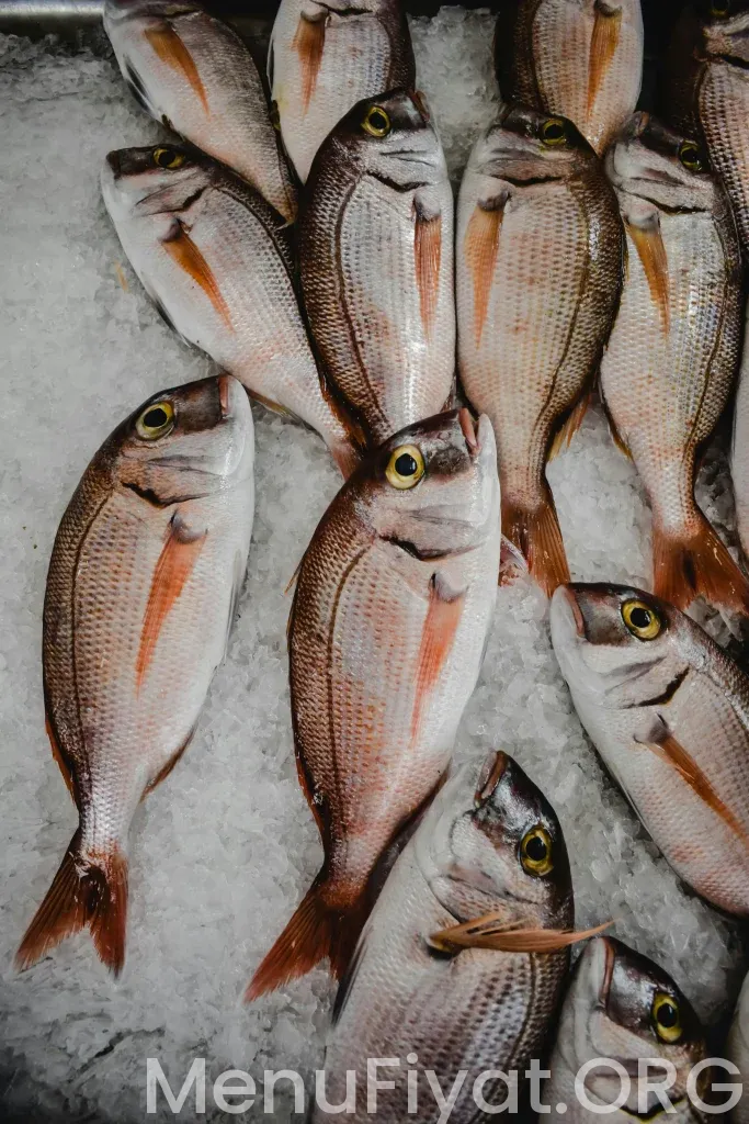 Ghalia Lounge Menü Fiyatları 2026