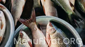 2026 Adana Kalamış Balık Menü Fiyat Listesi: Süleyman Demirel’de Deniz Lezzetleri