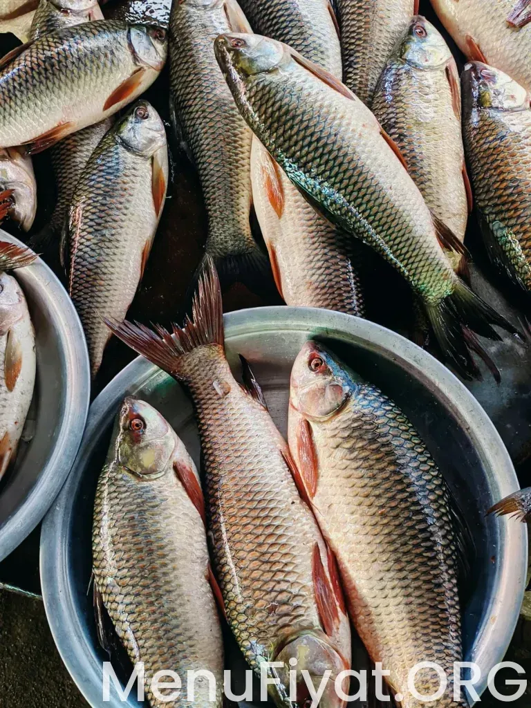 2026 Adana Kalamış Balık Menü Fiyat Listesi: Süleyman Demirel’de Deniz Lezzetleri