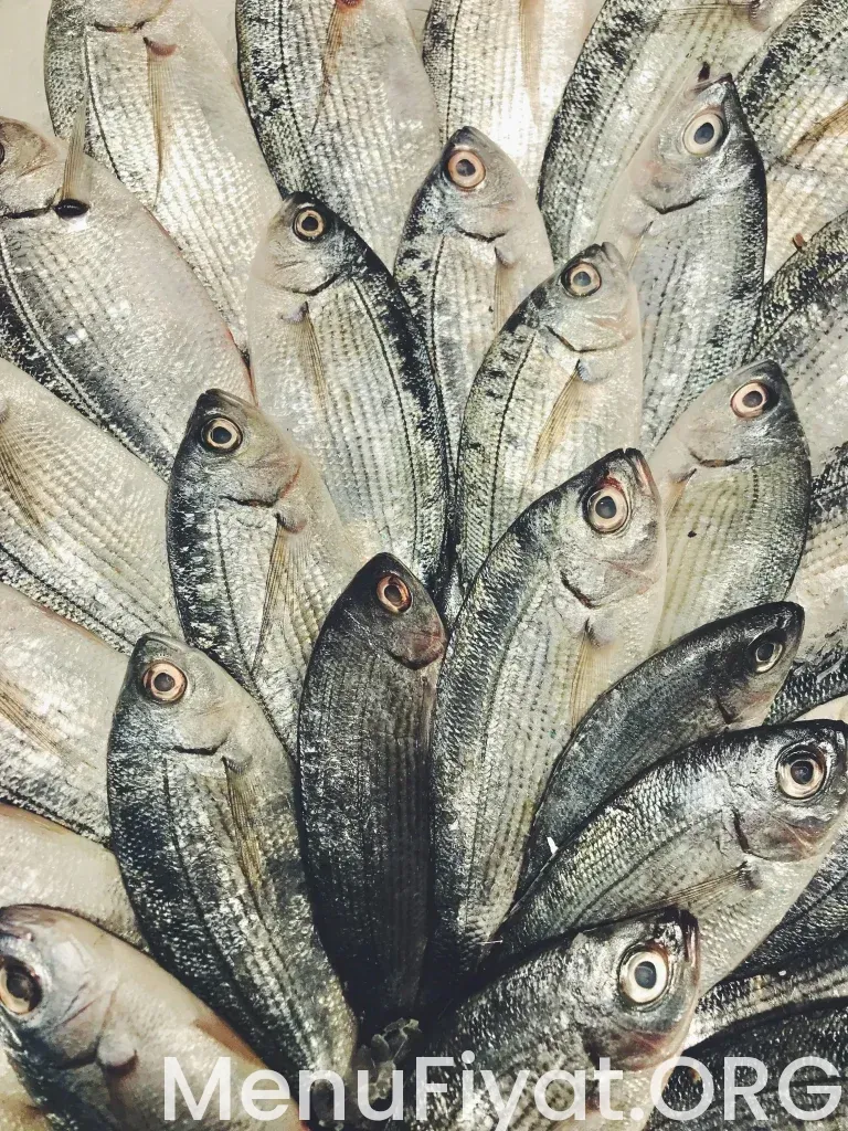 Ghalia Lounge Menü Fiyatları 2026