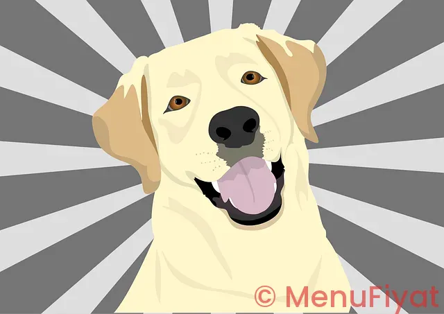 Dog menus Dog menus