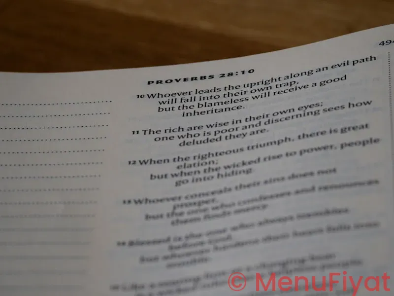 Express gyro menu