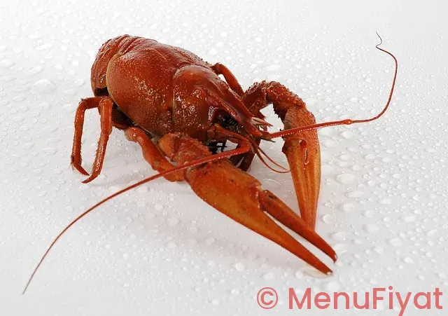 Fine dining menus