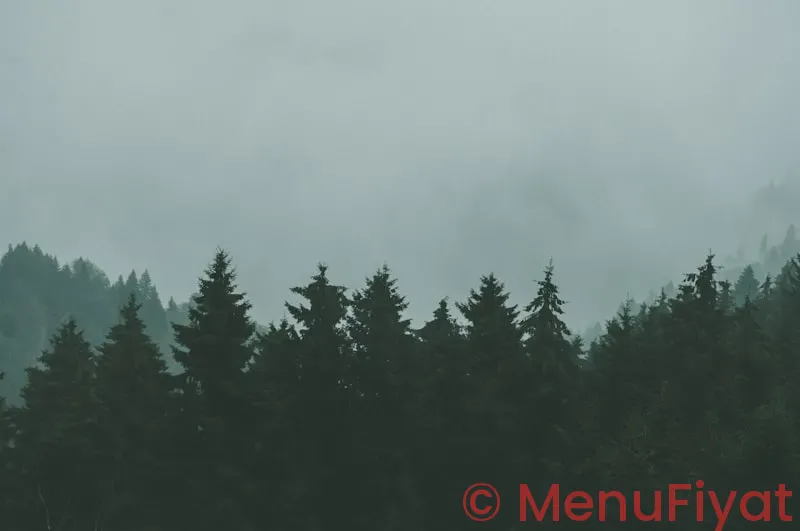 Free mod menus Free mod menus