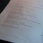 hardee's menu vegetarian