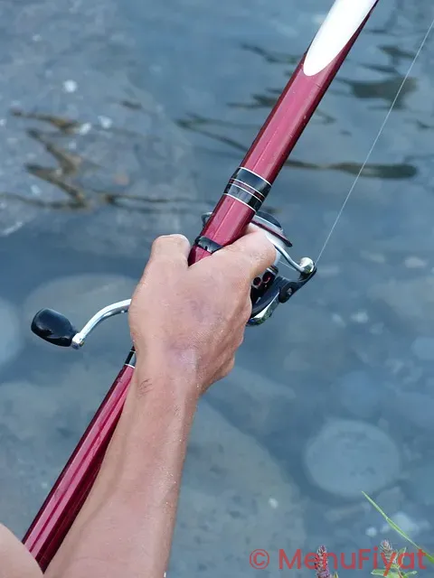 Hook and reel menu with prices pdf