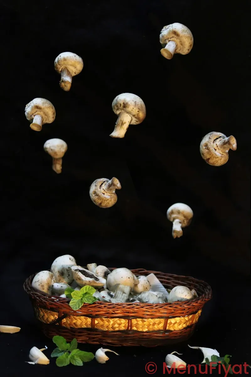 Mellow mushroom menu and prices