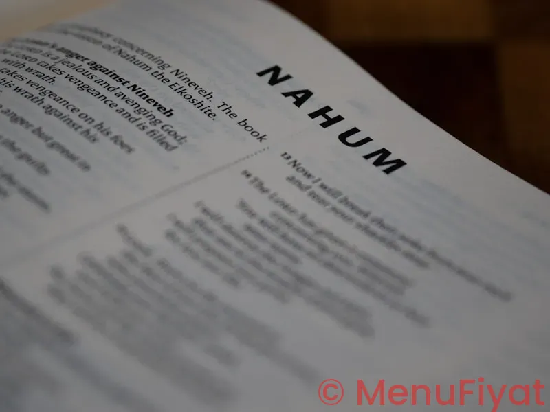 Nutrisystem menu plans