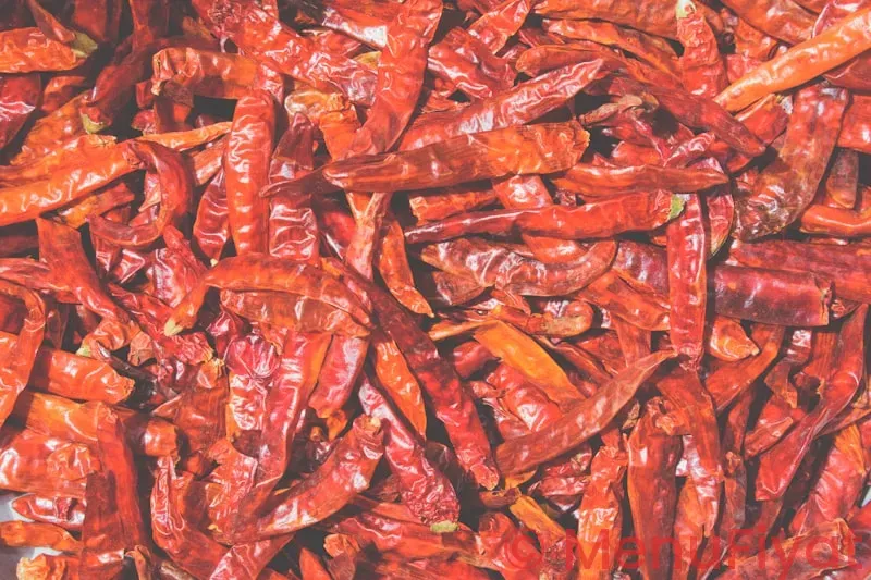 Spice charlotte menu