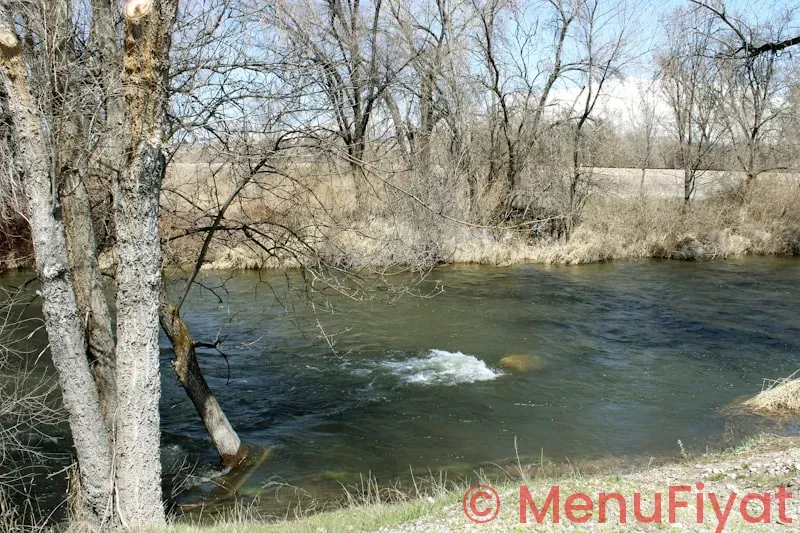 Spring creek menu and prices Spring creek menu and prices