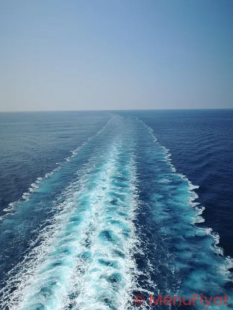 Viking cruise menus