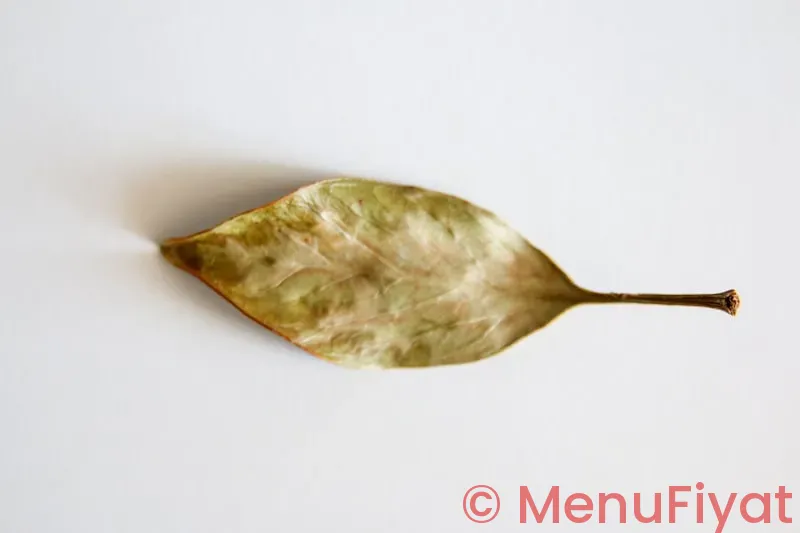 Zen leaf neptune menu price Zen leaf neptune menu price